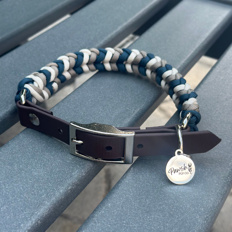Dog collar with braided design and metal buckle on a blue surface