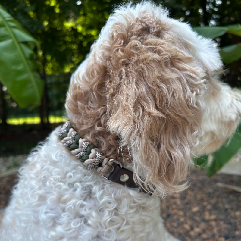 Paracord dog collar in olive green, light tan, & brown with dark brown biothane adapter