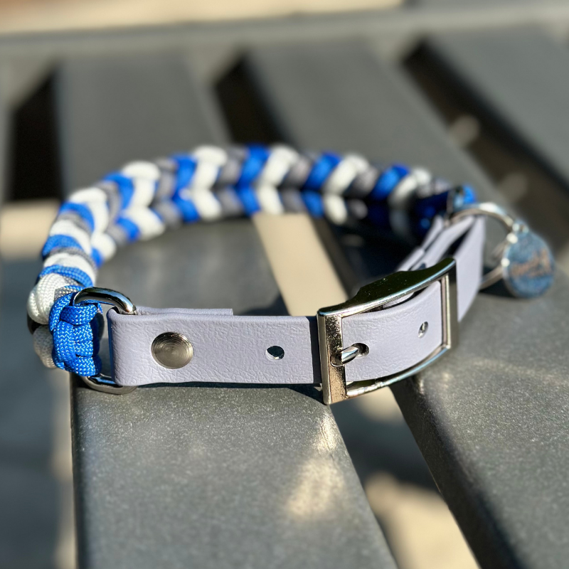 Dog Collar woven in royal blue, graphite gray, and white, with a gray adjustable strap with a belt style nickel plated buckle