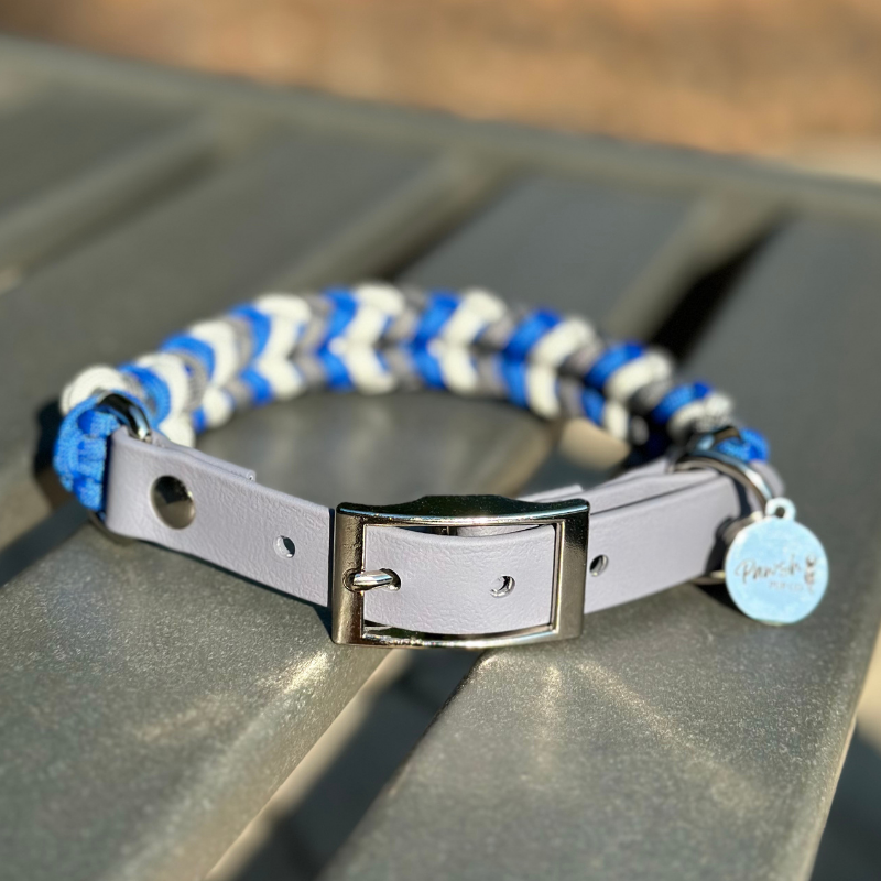 Dog Collar woven in royal blue, graphite gray, and white, with a gray adjustable strap with a belt style nickel plated buckle