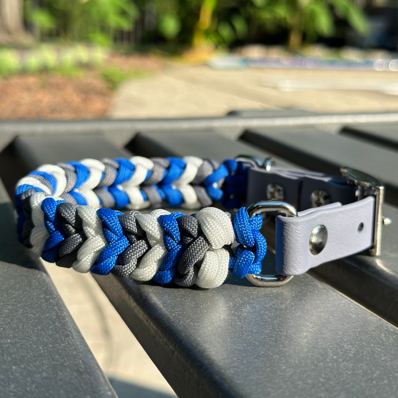 Dog Collar woven in royal blue, graphite gray, and white, with a gray adjustable strap with a belt style nickel plated buckle