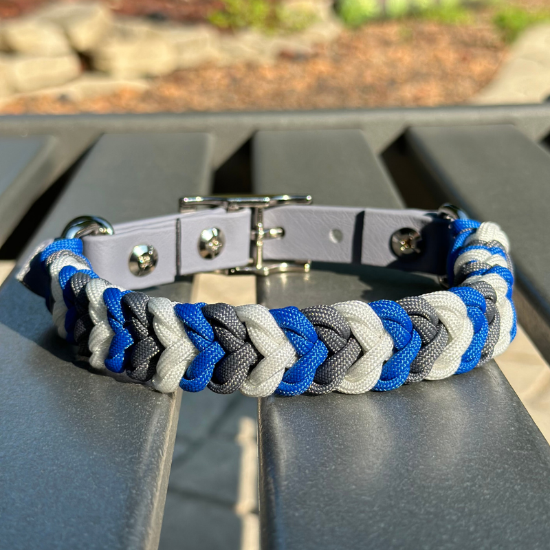 Dog Collar woven in royal blue, graphite gray, and white, with a gray adjustable strap with a belt style nickel plated buckle