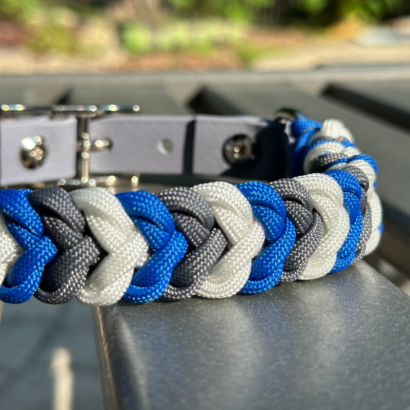 Dog Collar woven in royal blue, graphite gray, and white, with a gray adjustable strap with a belt style nickel plated buckle