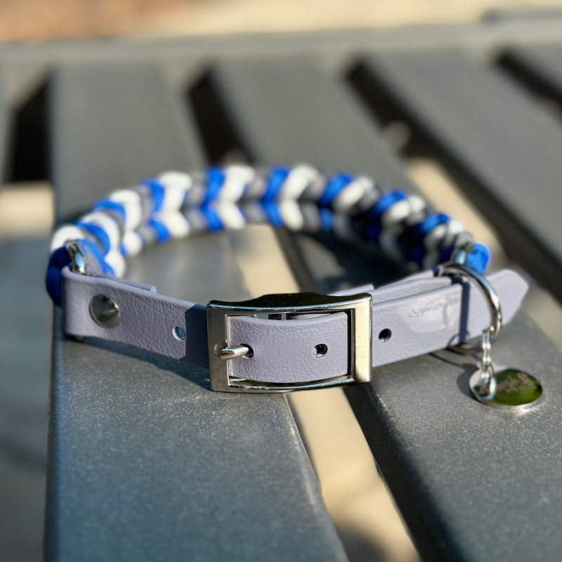 Dog Collar woven in royal blue, graphite gray, and white, with a gray adjustable strap with a belt style nickel plated buckle