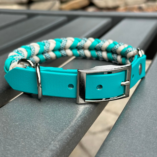 Turquoise dog collar with braided pattern on a metallic surface