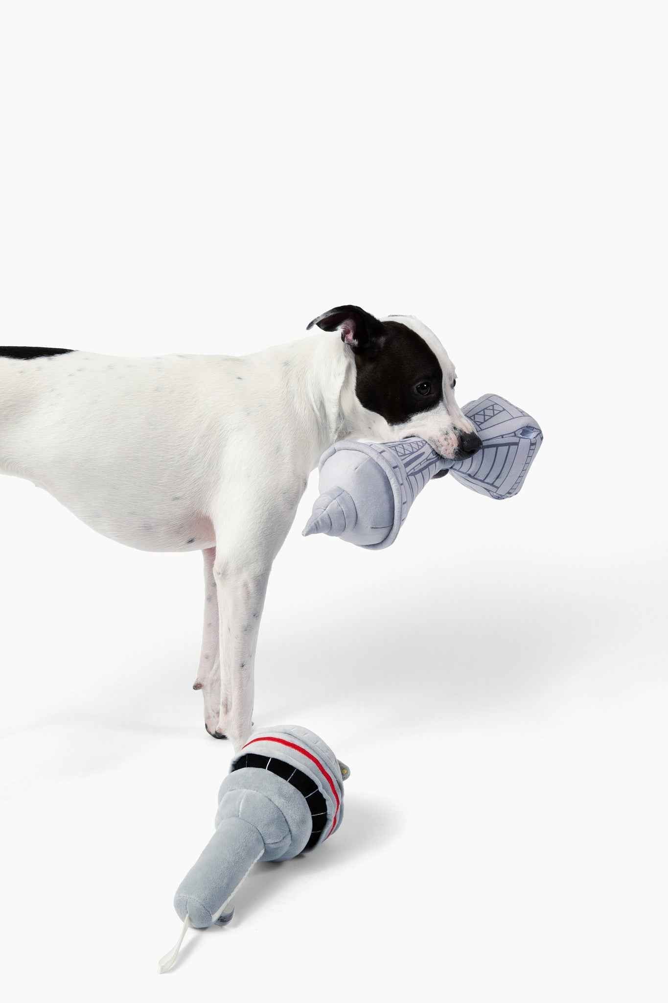 Dog In Seattle Nose Work Dog Toy with white and black dog playing on white background