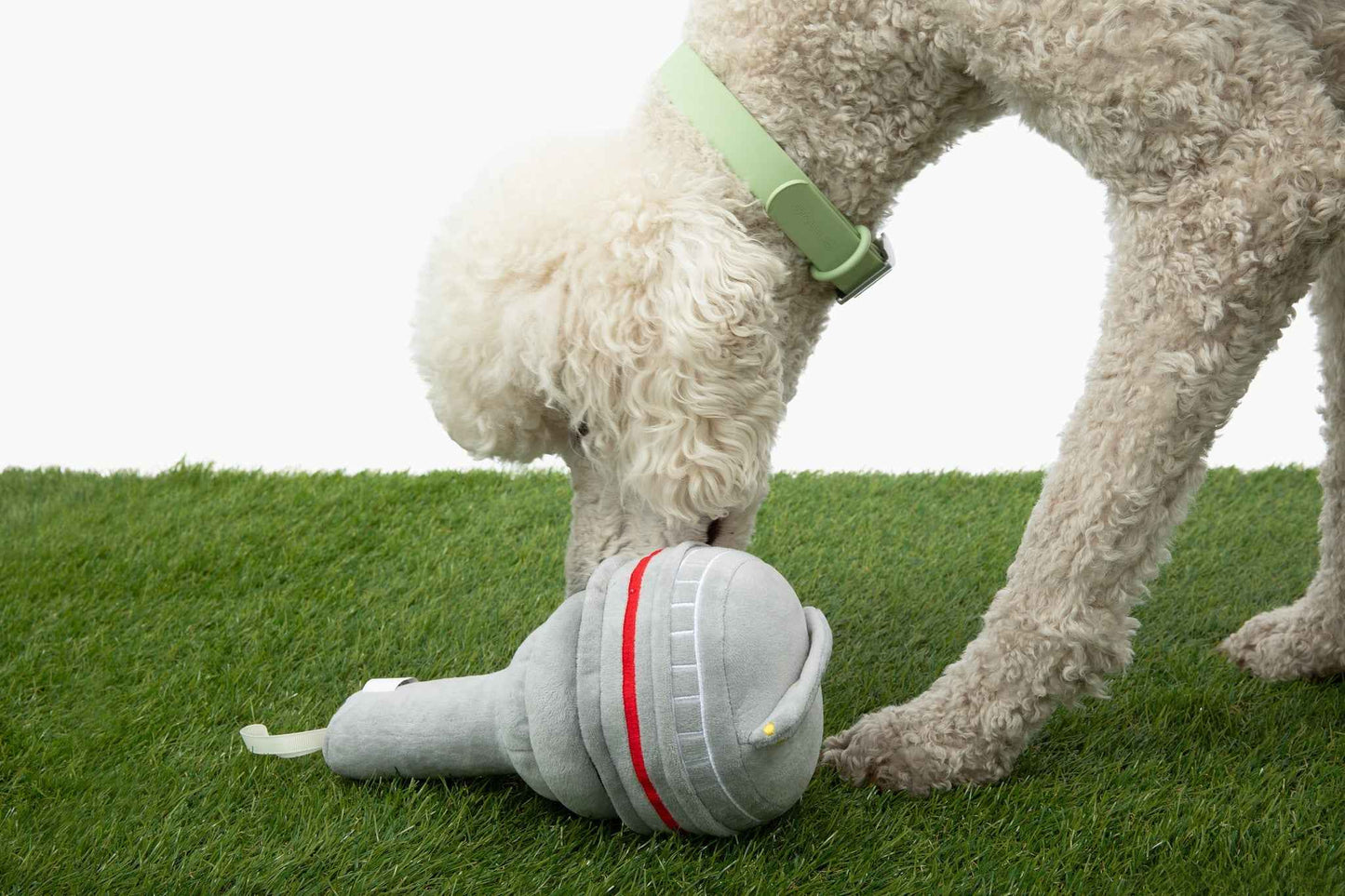 The Six Nose Work Dog Toy on green grass with white poodle sniffing it, and white background