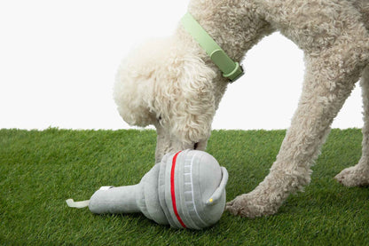 The Six Nose Work Dog Toy on green grass with white poodle sniffing it, and white background