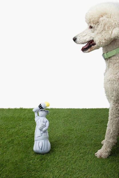 Liberty Nose Work Dog Toy sitting on green grass with white poodle next to it against white background