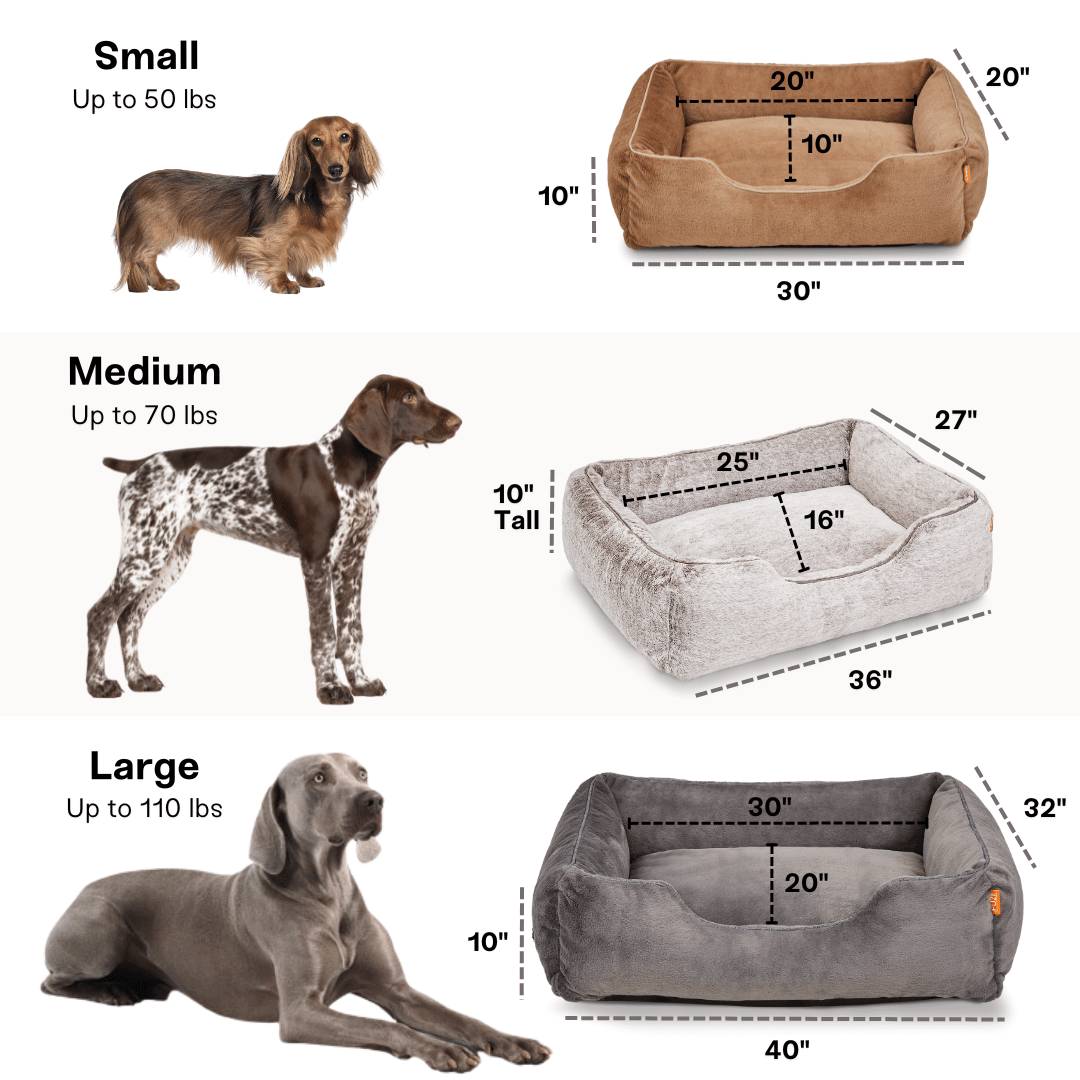 Dog bed size chart with small, medium, and large beds and corresponding dog illustrations.