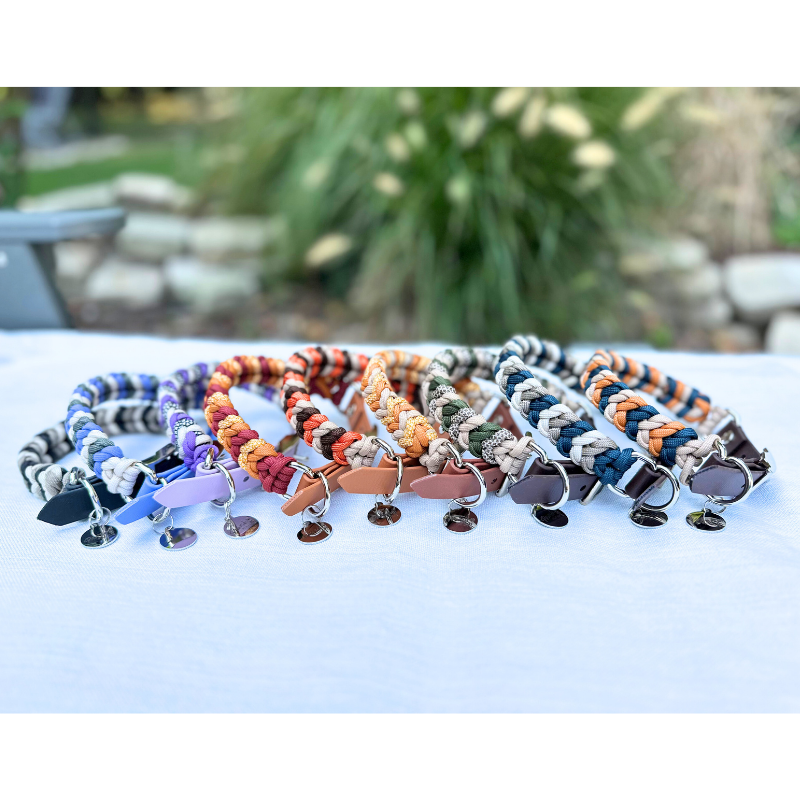 Collection of colorful dog collars with tags on a white surface outdoors.