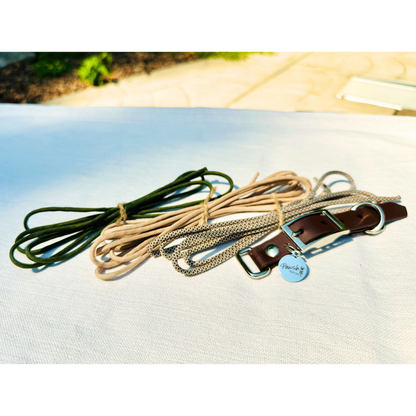 Dog collar with chain and leather strap on a light blue surface