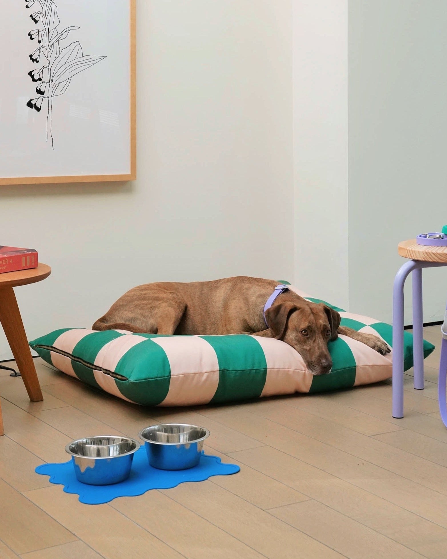 Dog resting on a striped pet bed with two bowls and a mat in a room.