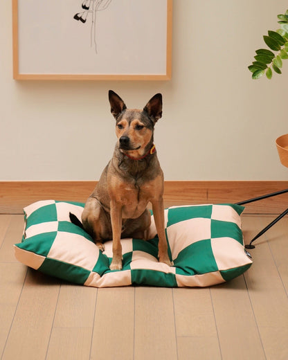 Dog sitting on a green and white checkered pet bed indoors.