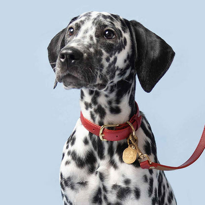 Mars Collar