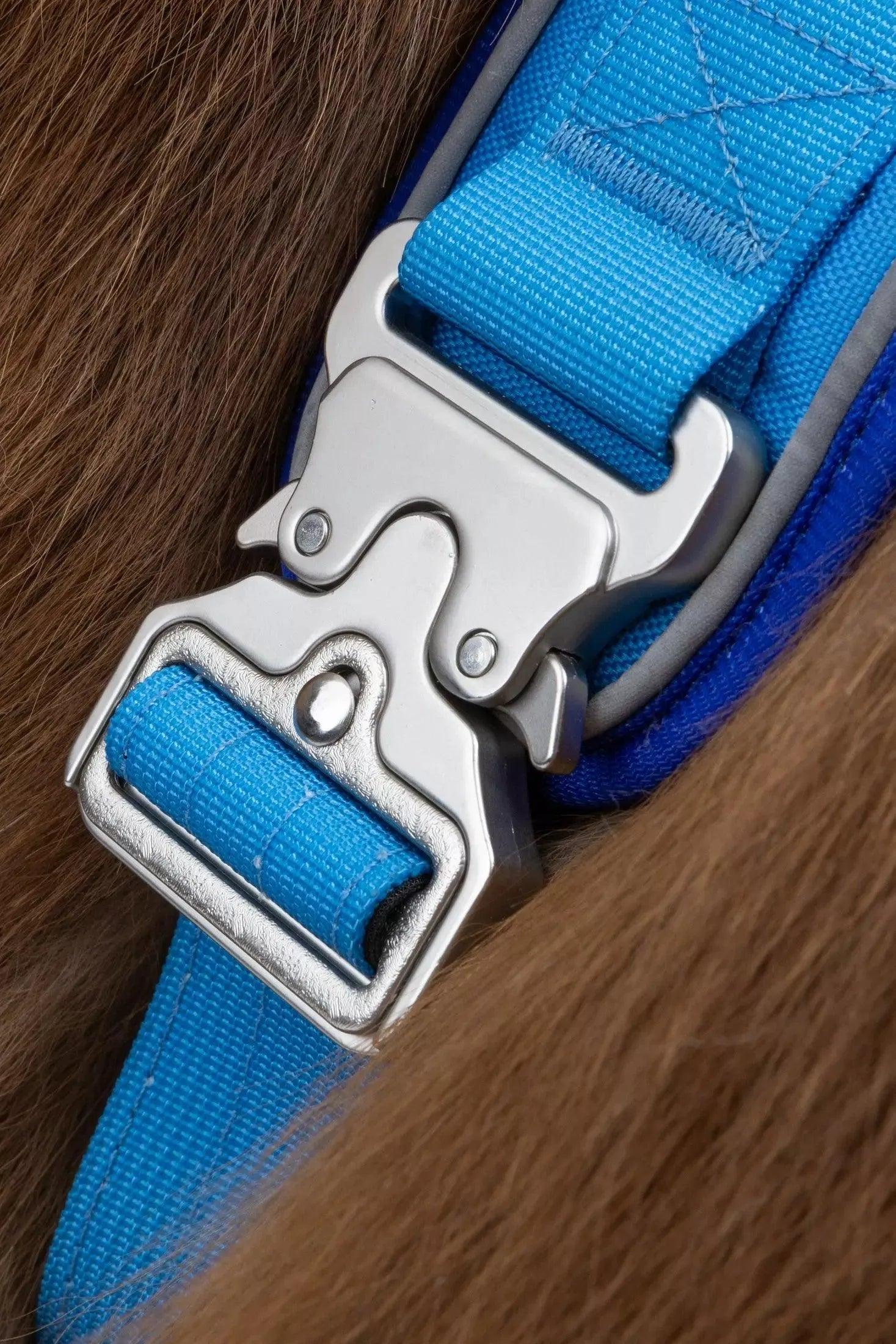 Close-up of a blue strap with a metal buckle on a wooden surface