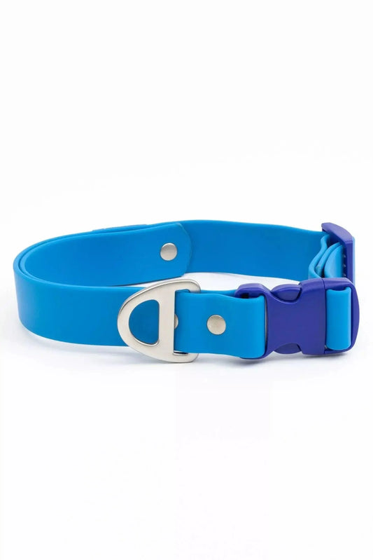 Blue dog collar with a silver buckle on a white background