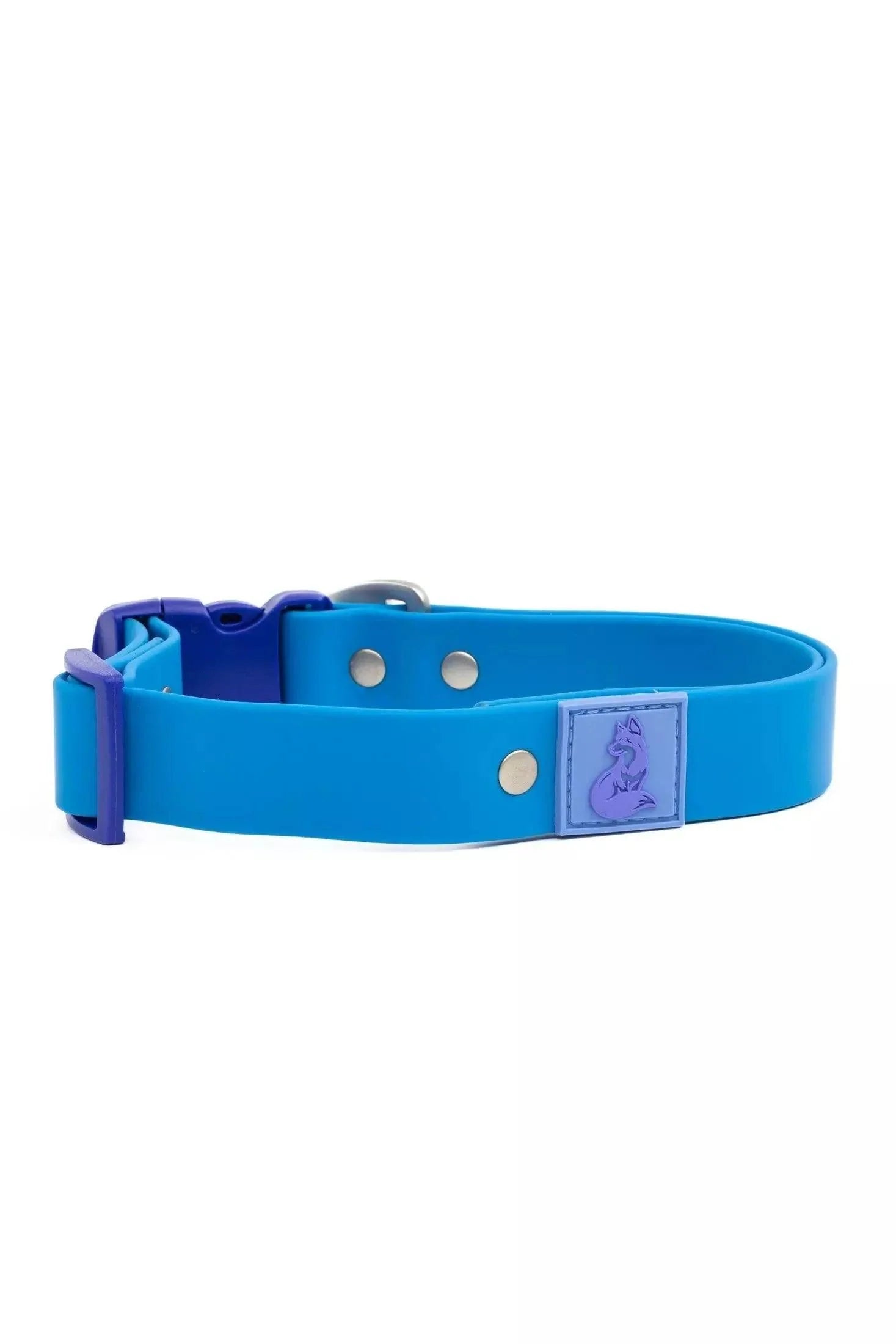 Blue dog collar with a purple buckle on a white background