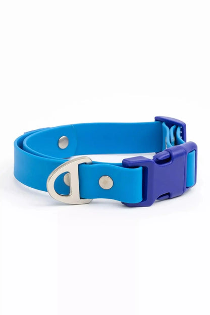 Blue dog collar with a silver buckle on a white background