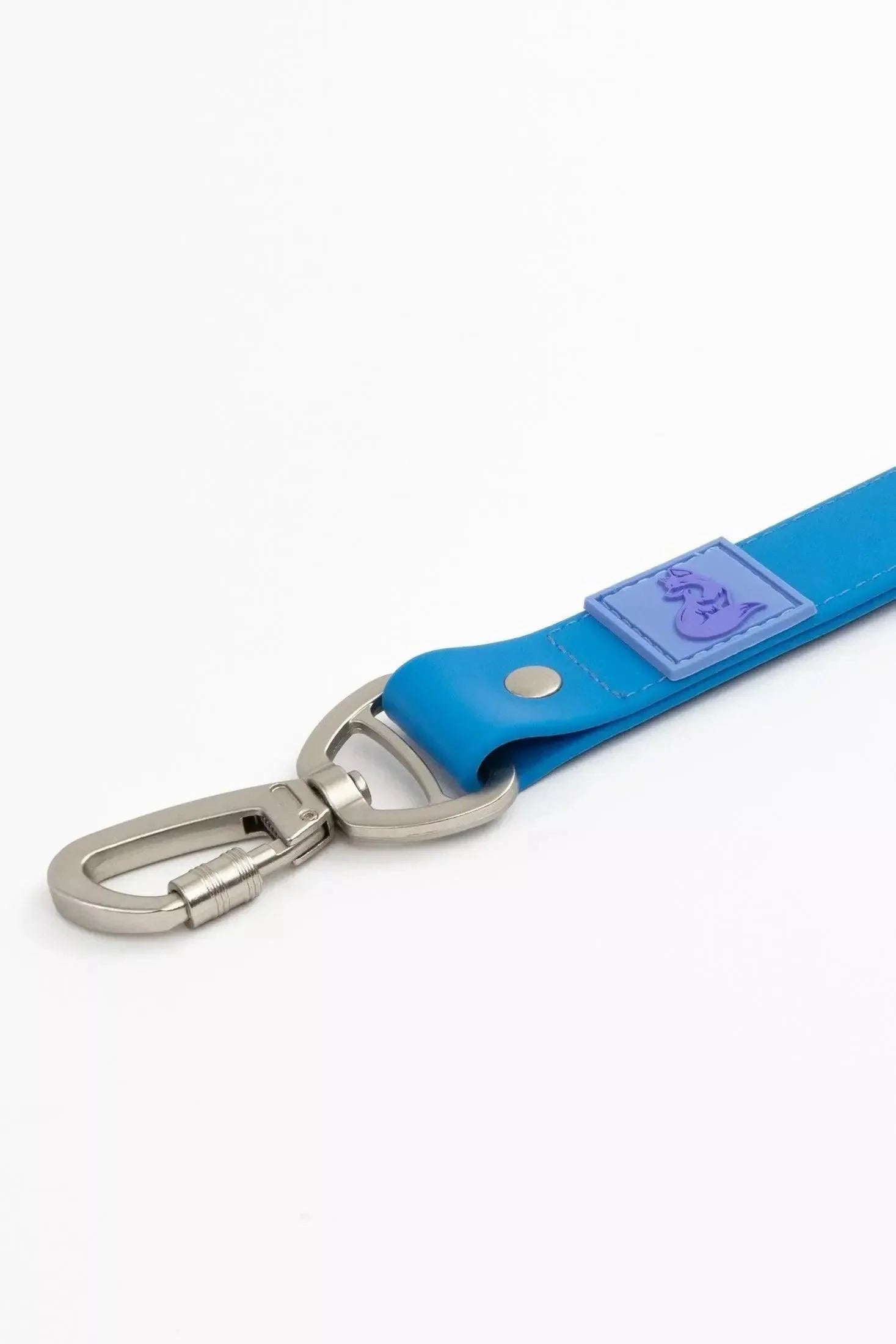 Blue belt with silver buckle on a white background