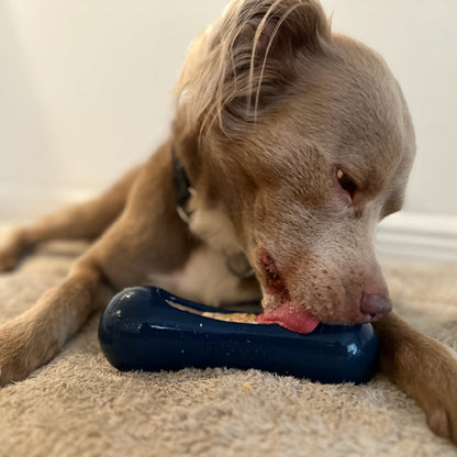 Dog chewing on a blue toy on a carpeted floor.