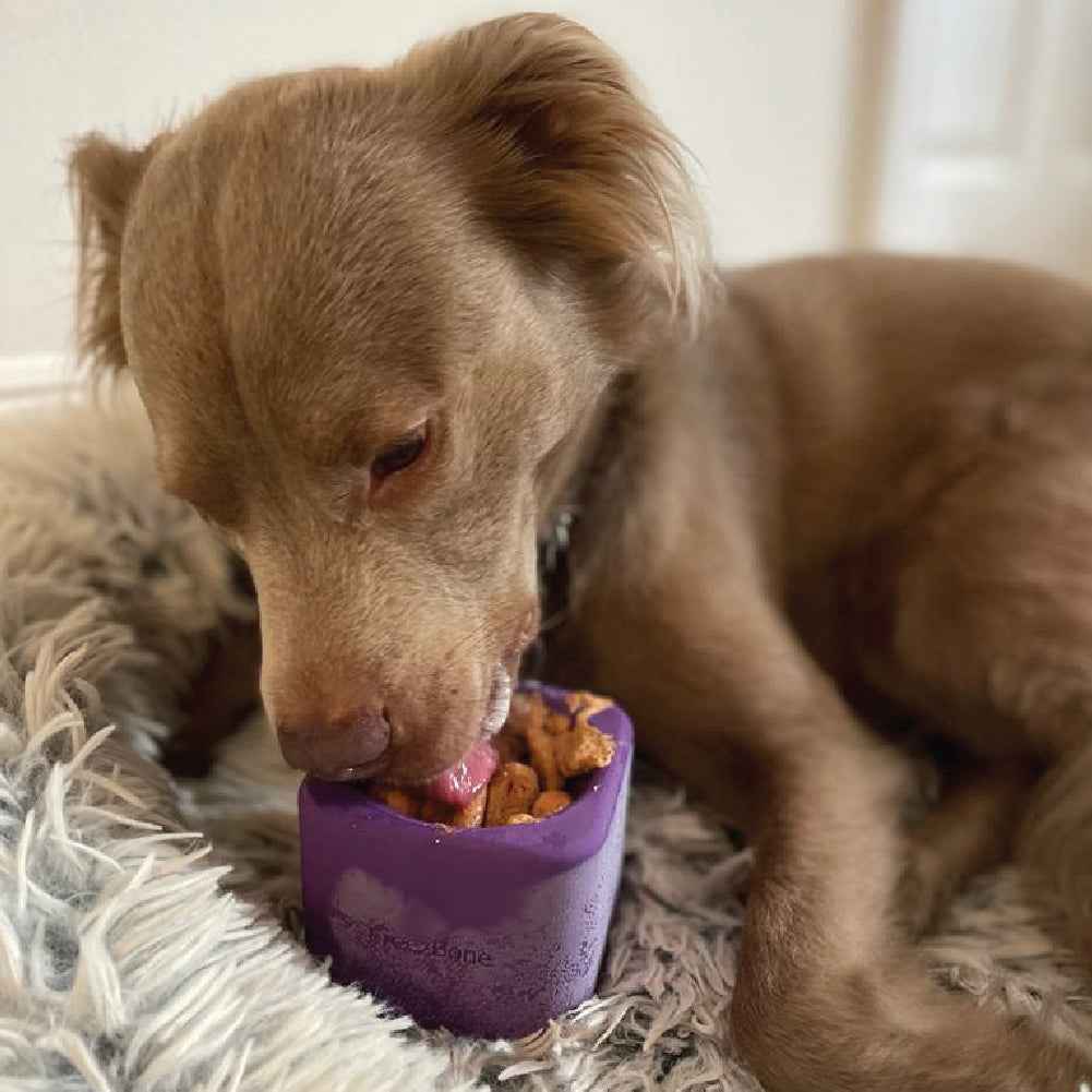Freezbox - Super Tough Treat Toy