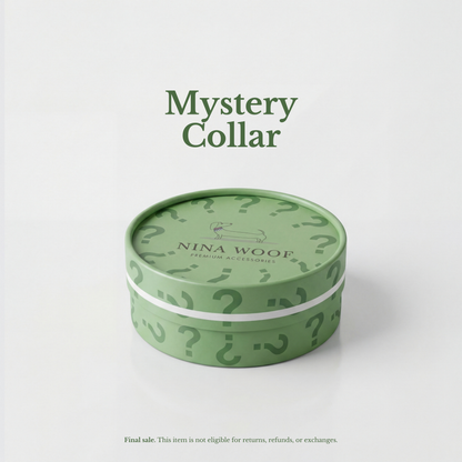 Vegan Leather Collar Collection