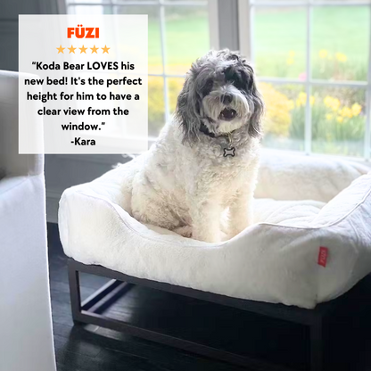 Dog on bed in front of window with 5 star review