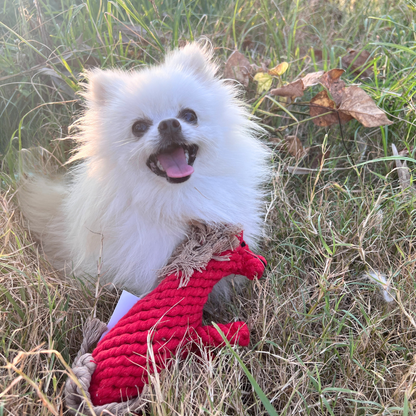 Ember the Red Horse Rope Toy Dog