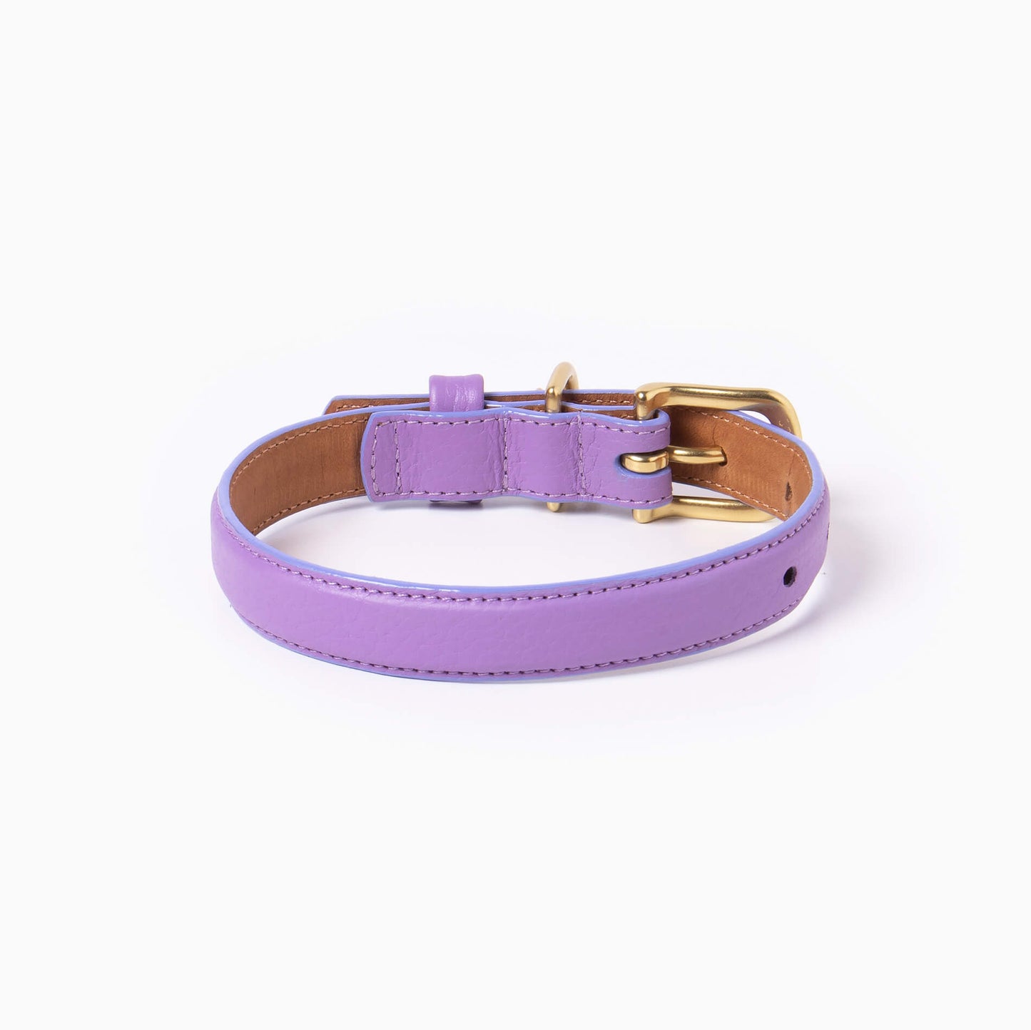 Purple dog collar with gold hardware on a white background