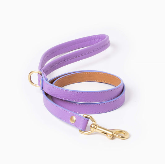 Purple dog leash with gold hardware on a white background