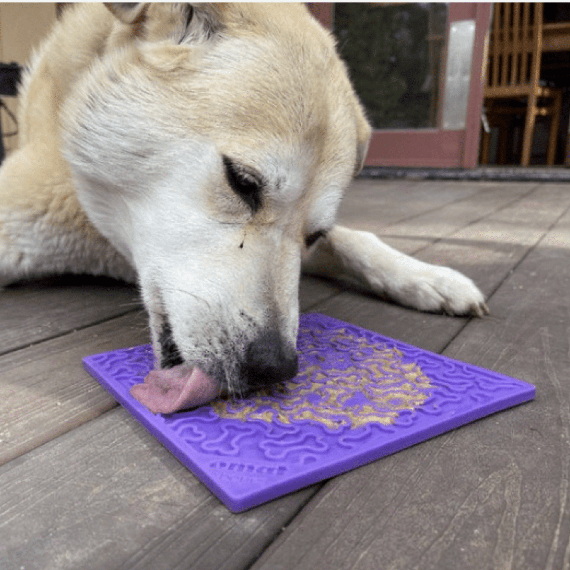 Dog licking a purple mat on a wooden deck