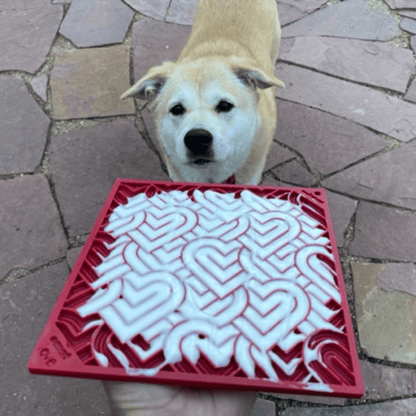 Dog standing behind a red lick mat toy with yogurt spread on it on a stone pavement.