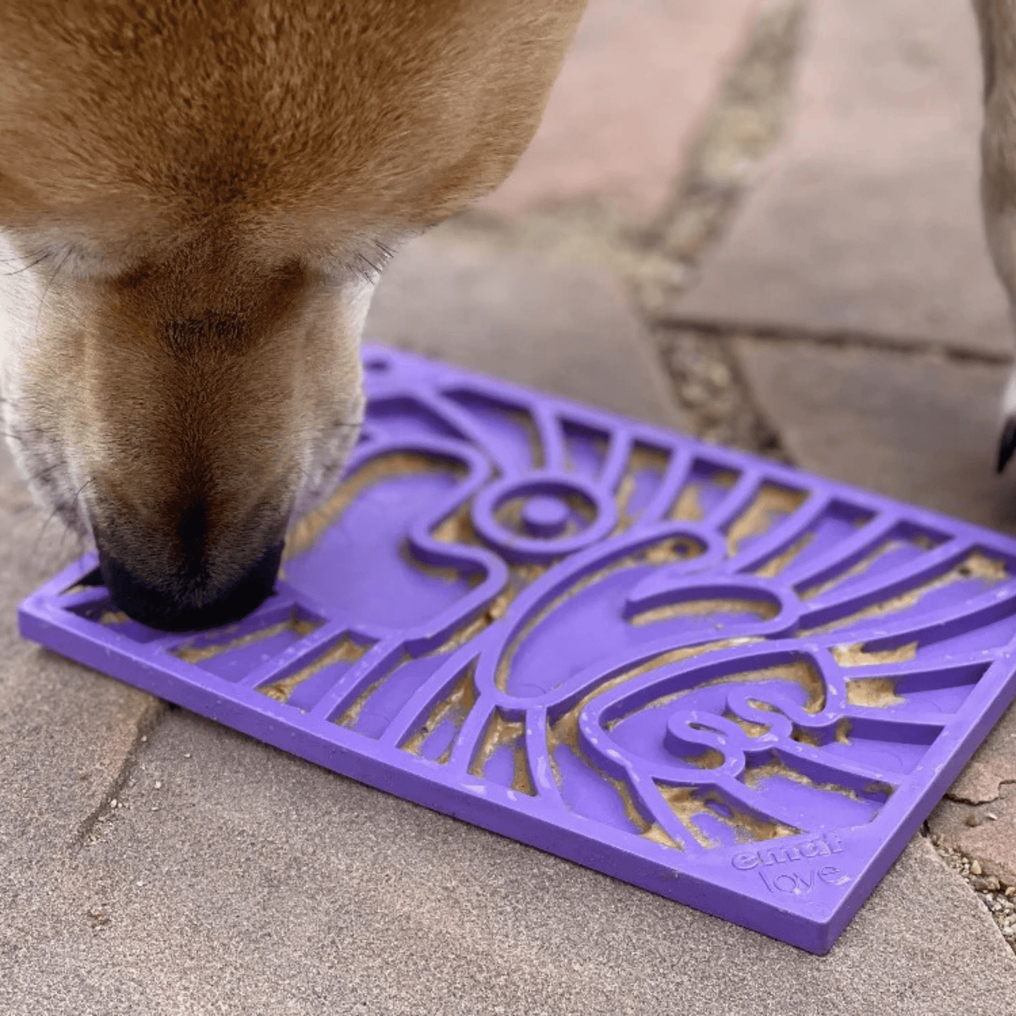Dog licking on a purple lick mat on a stone surface