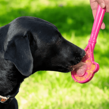 Black dog interacting with a pink dog toy outdoors on grass
