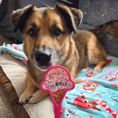 Dog lying on a blanket with a pink toy in front of it