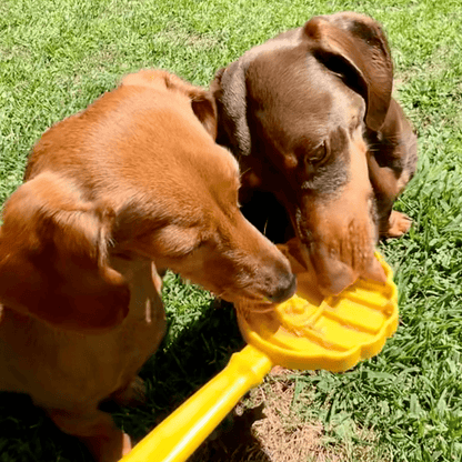 Two dogs playing with a yellow toy on grass
