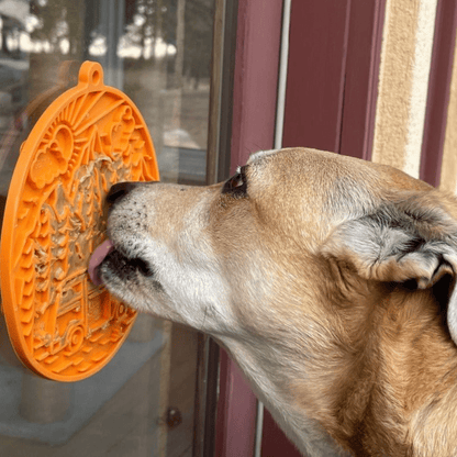 Dog interacting with an orange lick mat stuck to a glass door