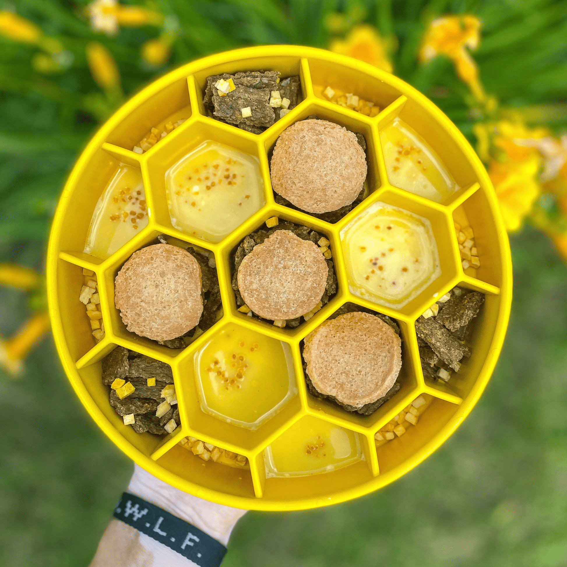 Yellow honeycomb container with pet treats and small stones against a green background