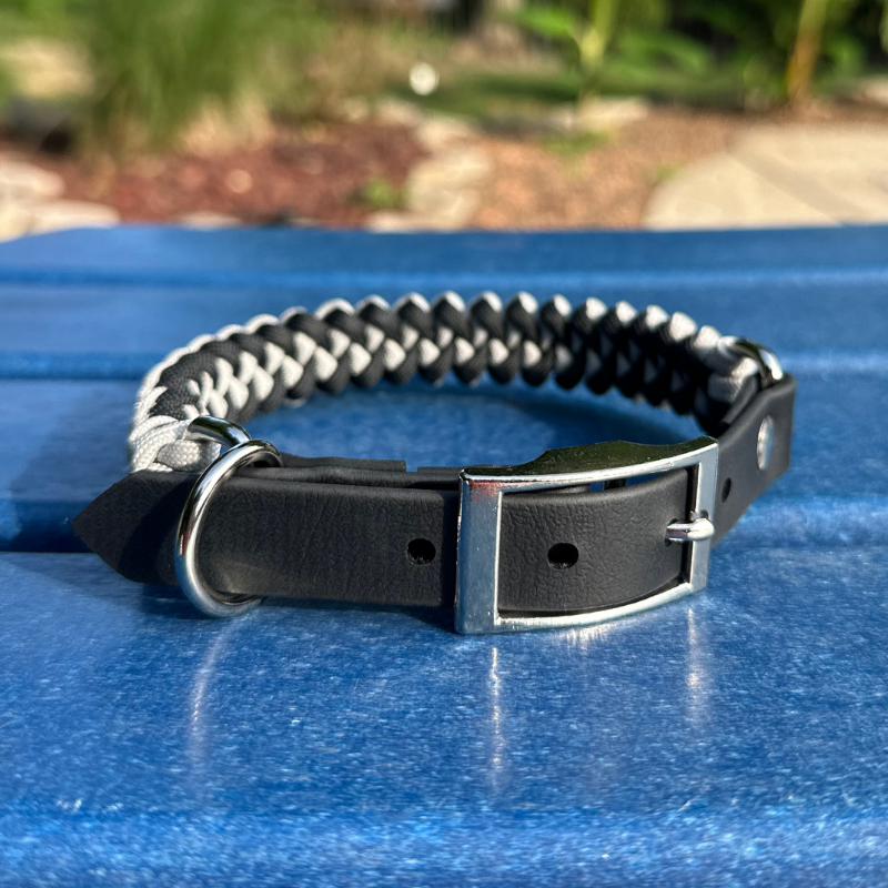 Black and light gray collar with black strap on blue table