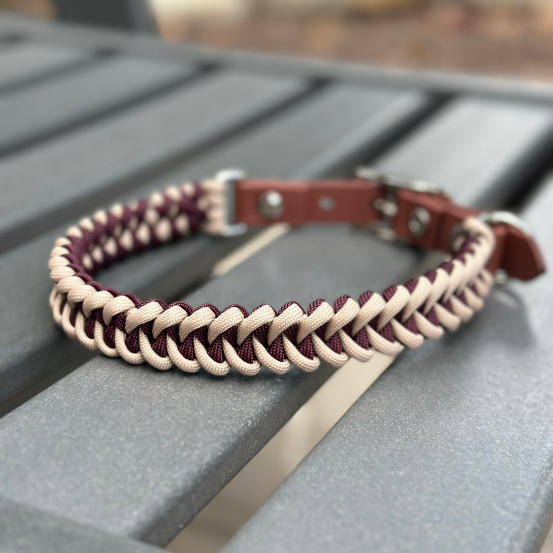Dog collar with braided design on a metal surface