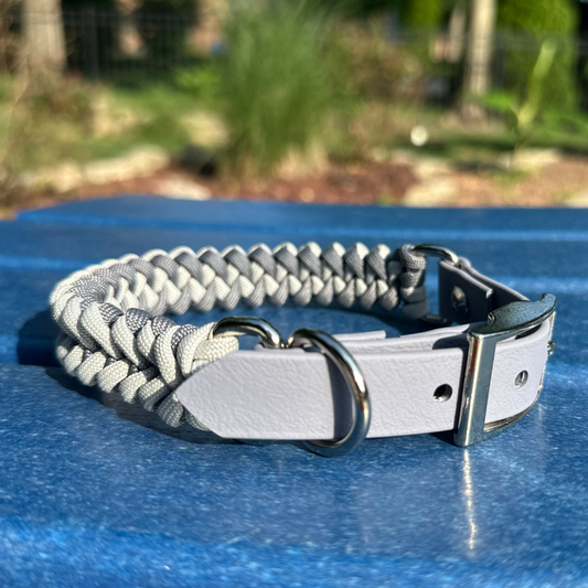 Dog collar with braided design and metal buckle on a blue surface