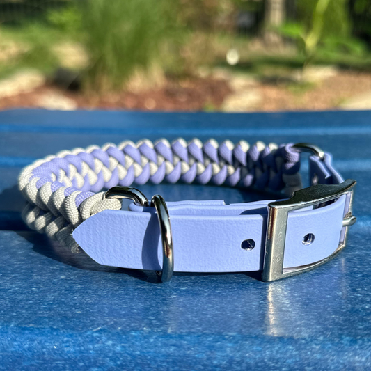 Dog collar with purple and gray design on a blue surface