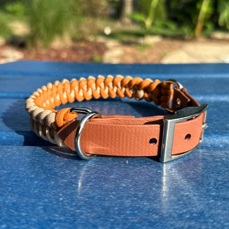 Dog collar with orange and brown braided design on a blue surface