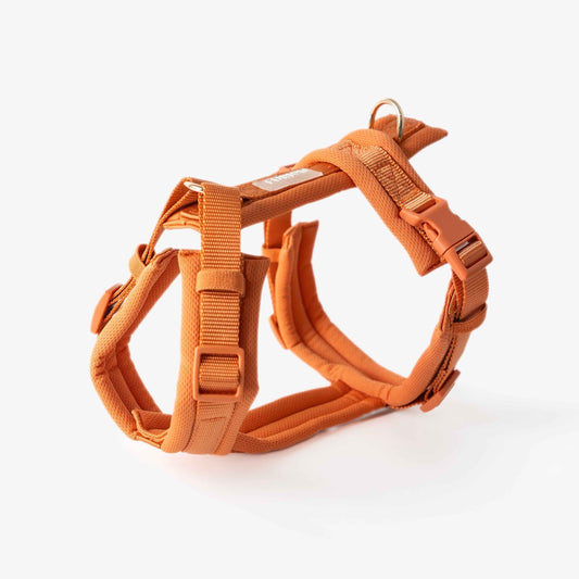 Terracotta - Comfort Dog Harness