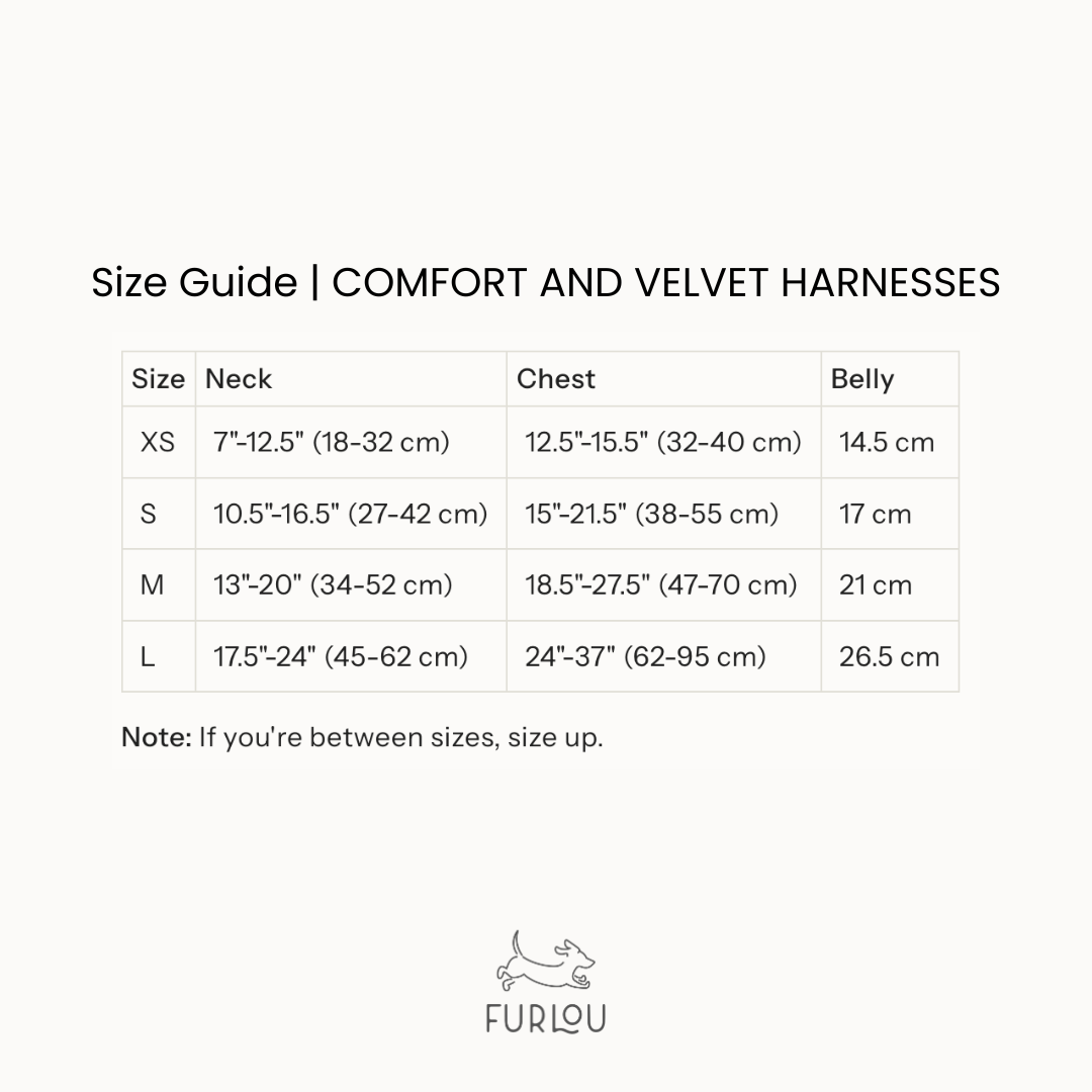 Size guide for Comfort and Velvet Harnesses by Furlou on a white background