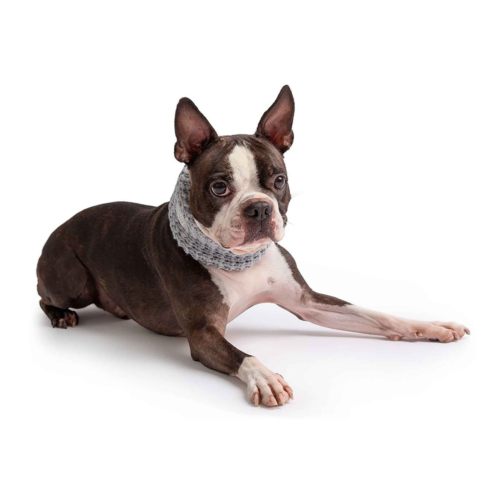 Chalet Tube Scarf - Heather Grey on brown and white dog