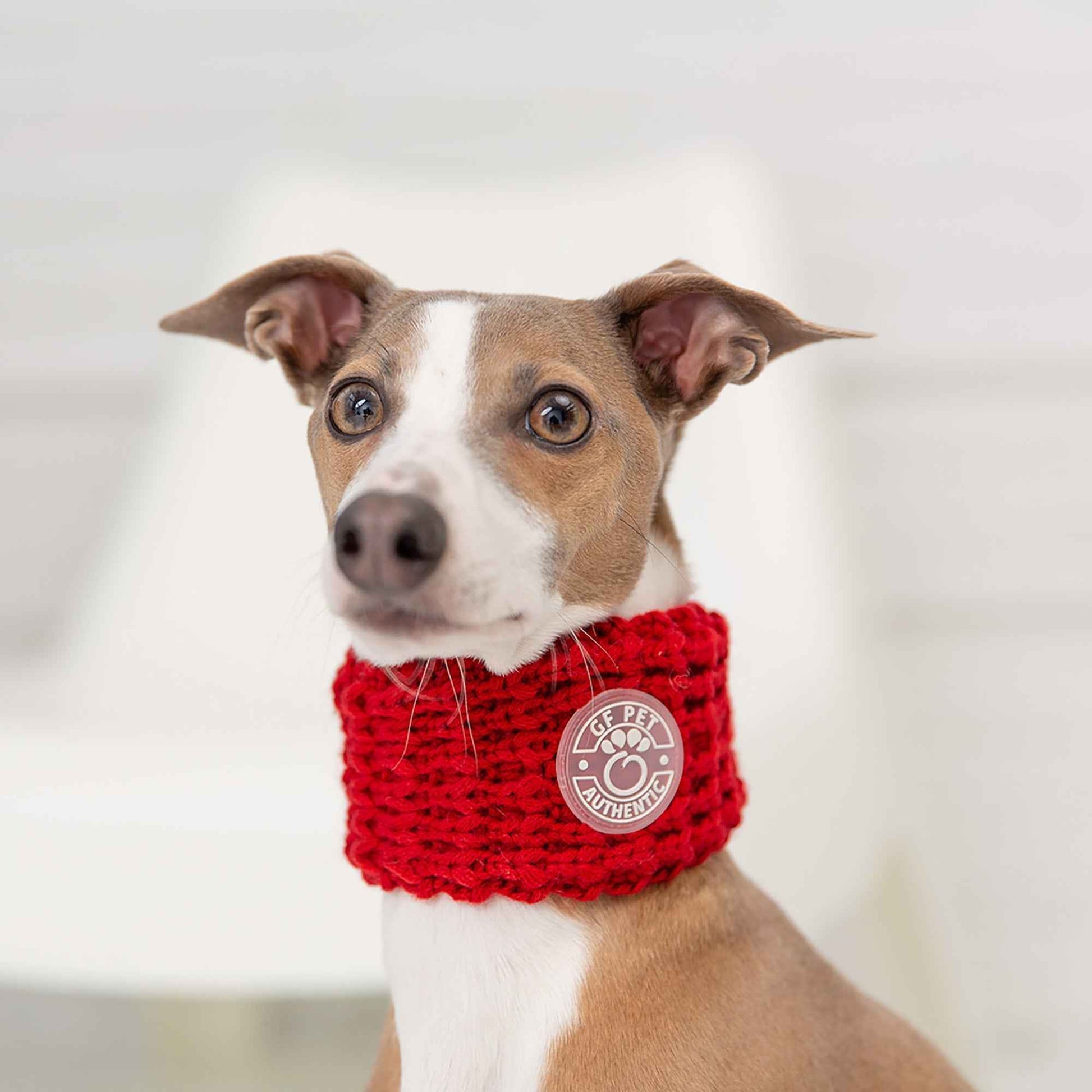 Chalet Tube Scarf - Red on brown dog