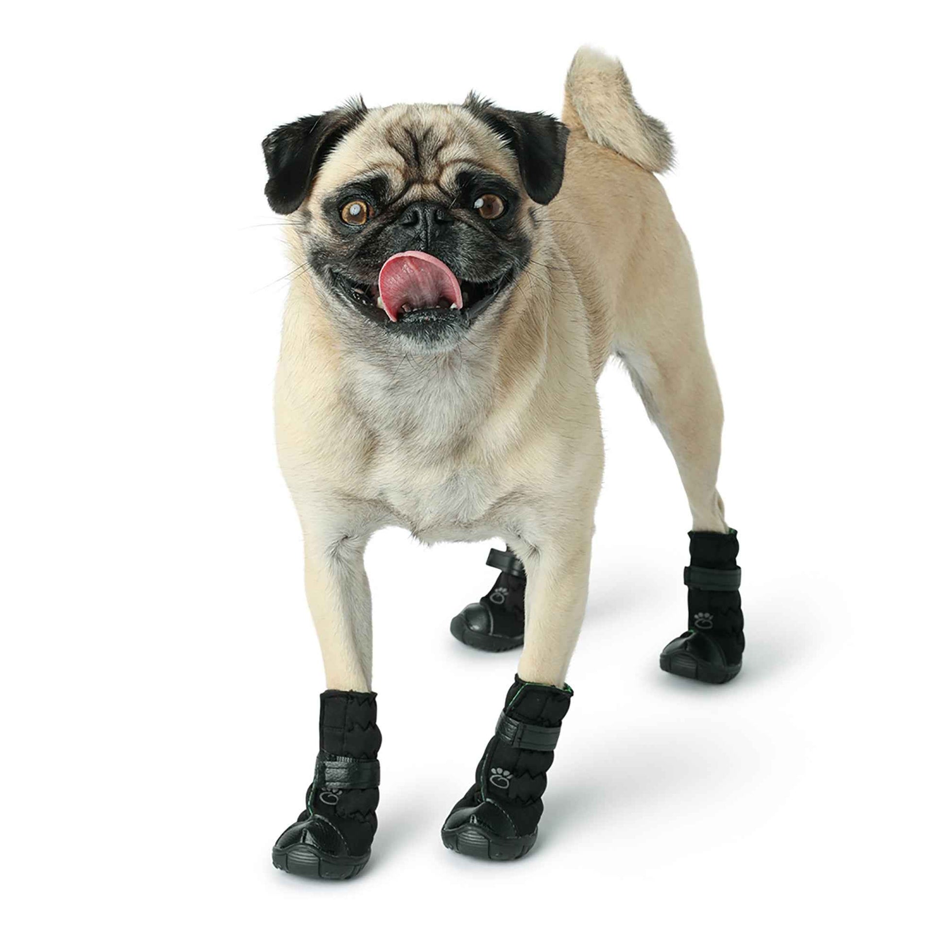 Elasto-Fit Dog Boots - Black on small dog