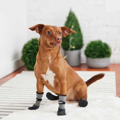 All Terrain Dog Boots on brown dog